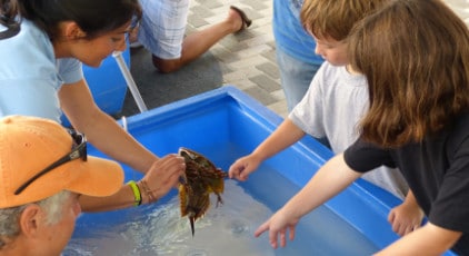 Exploring the apalachicola estuary