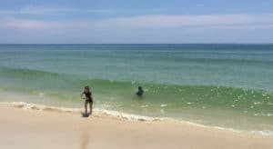 accommodations st. george island beach