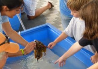 Exploring the apalachicola estuary